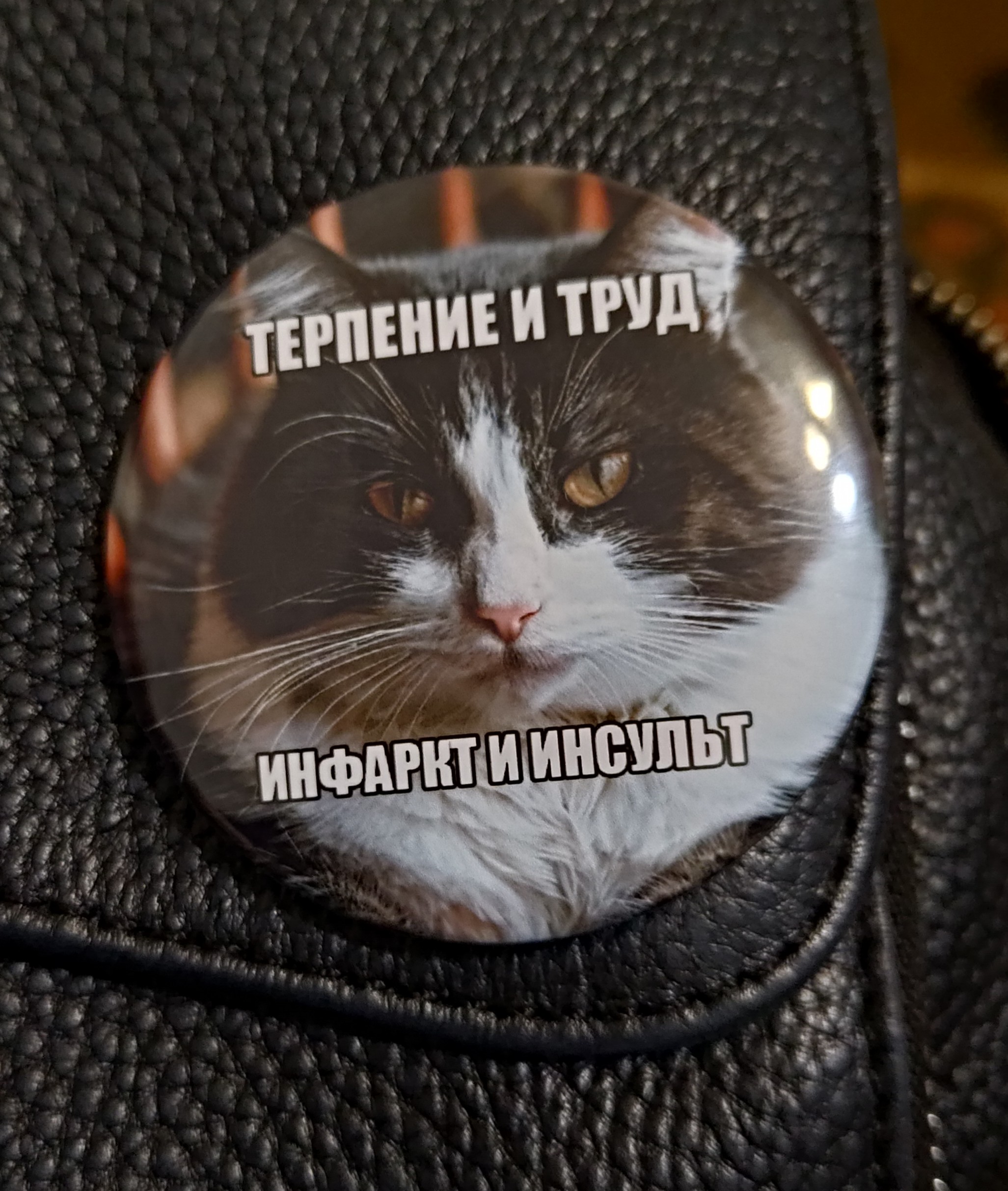 1000037016.jpg