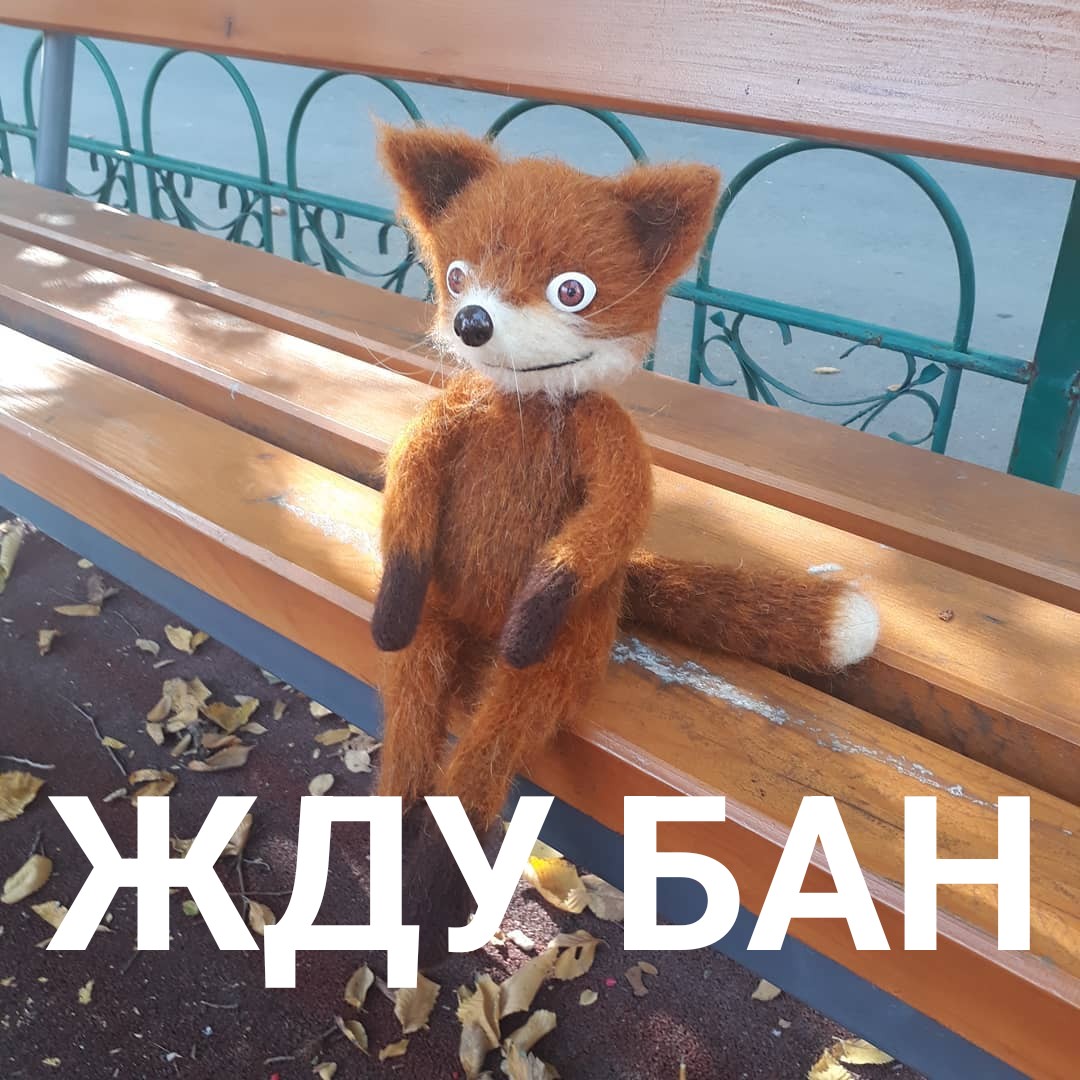 1000037052.jpg