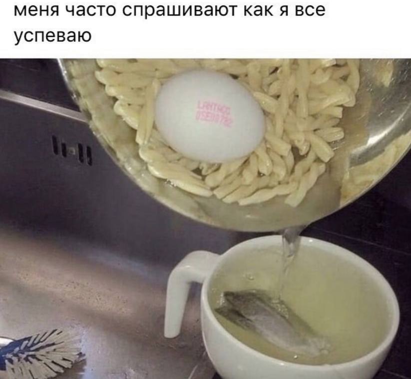 1000037087.jpg