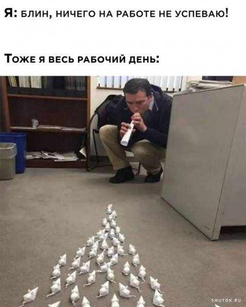 1000037088.jpg