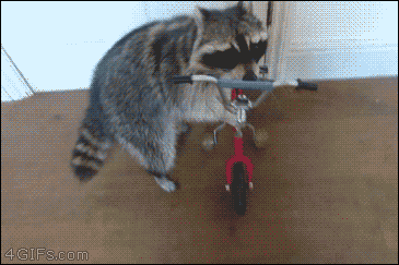 1000037095.gif