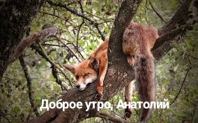 1000037180.jpg