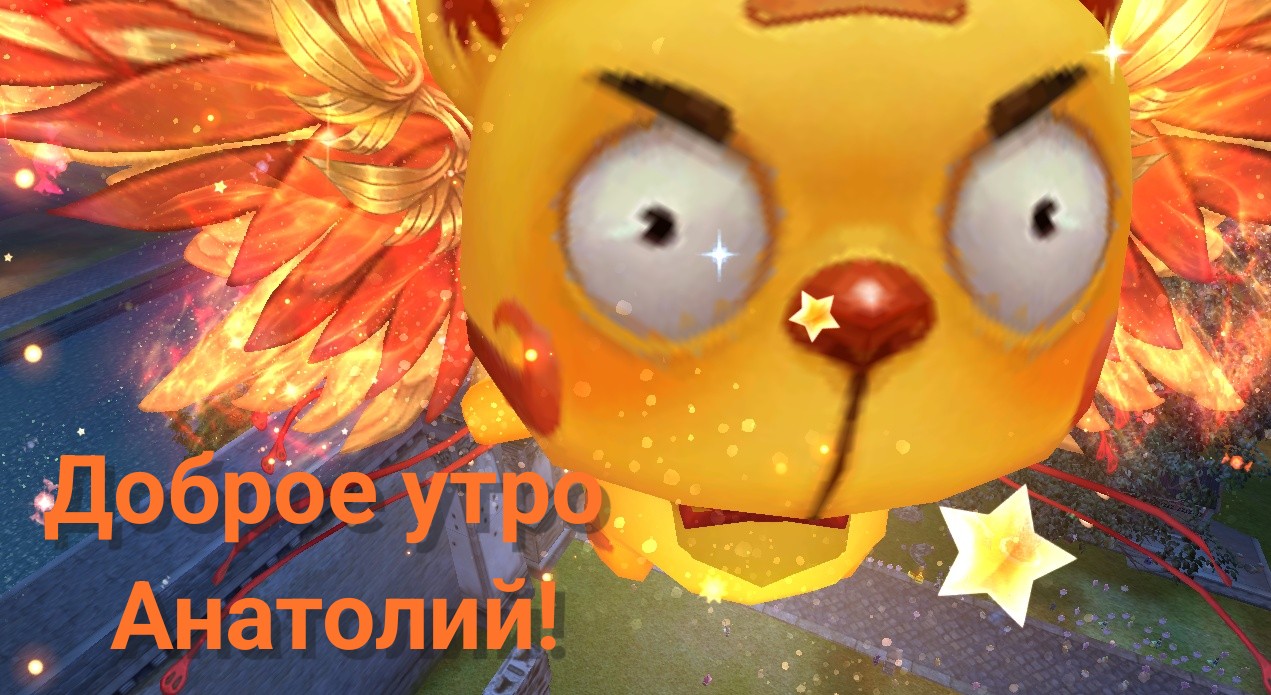 1000037405.jpg