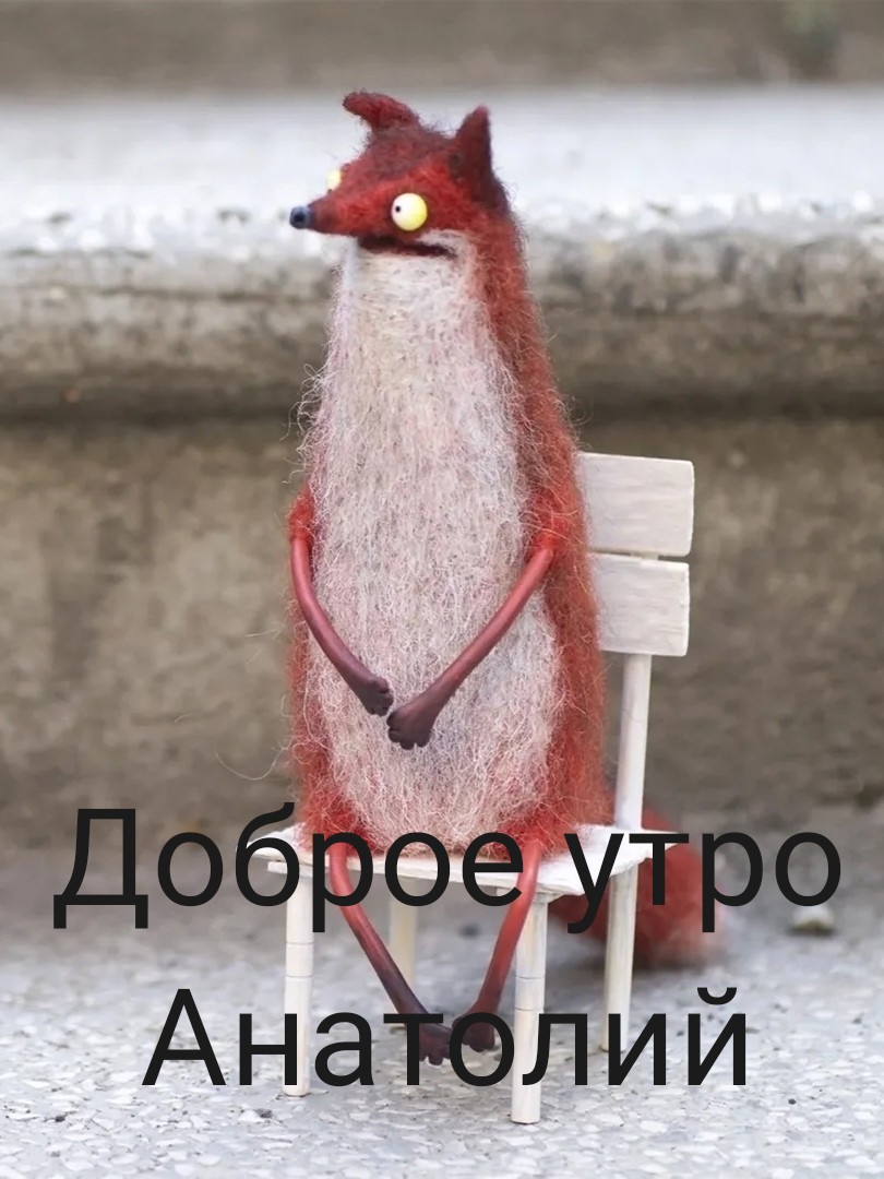 1000037429.jpg