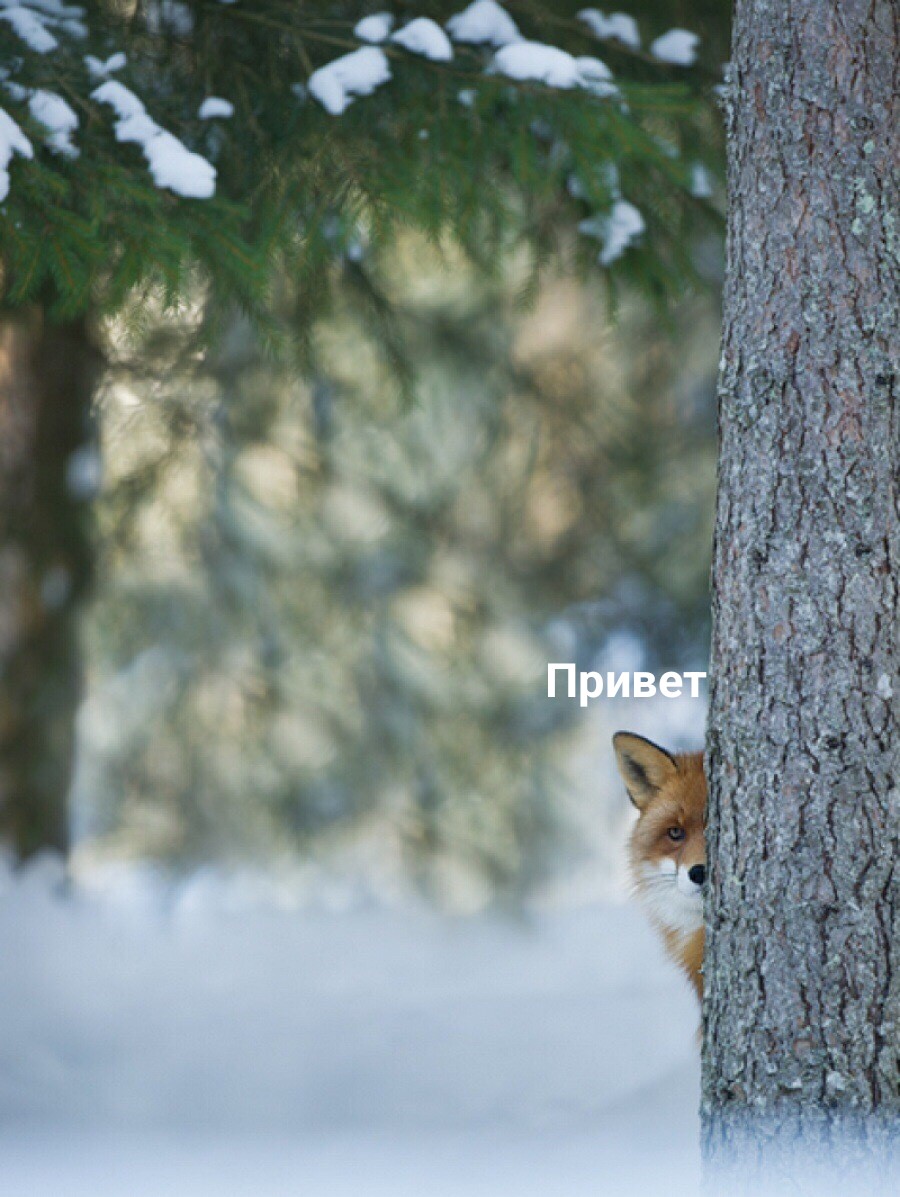1000037877.jpg