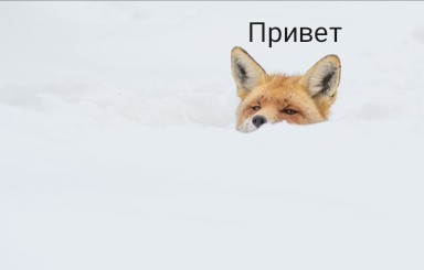 1000037916.jpg