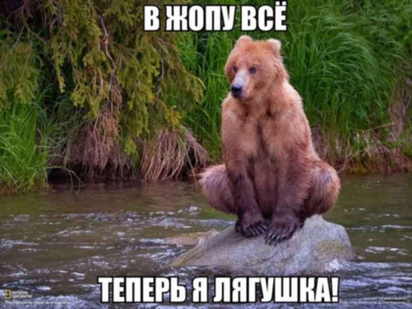 1000038754.jpg