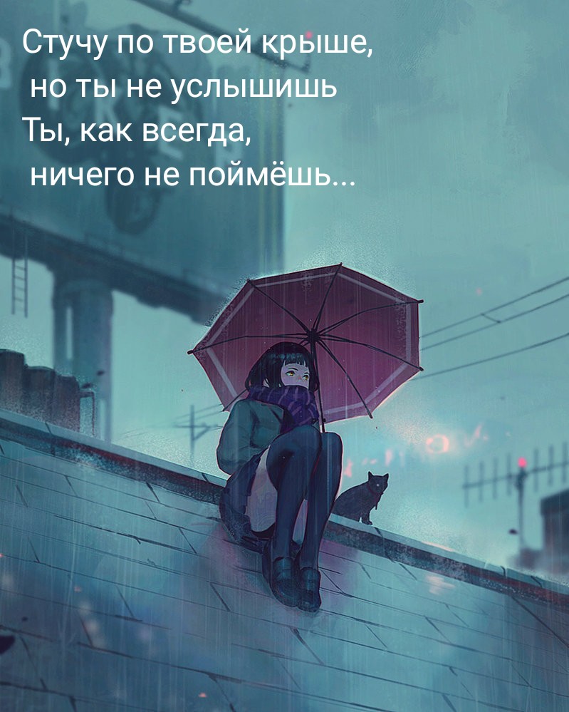 1000038782.jpg