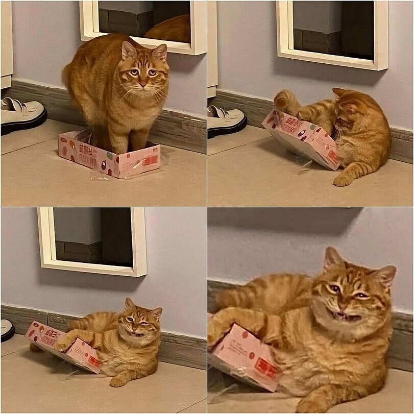 1000038816.jpg