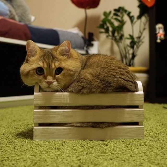 1000039007.jpg