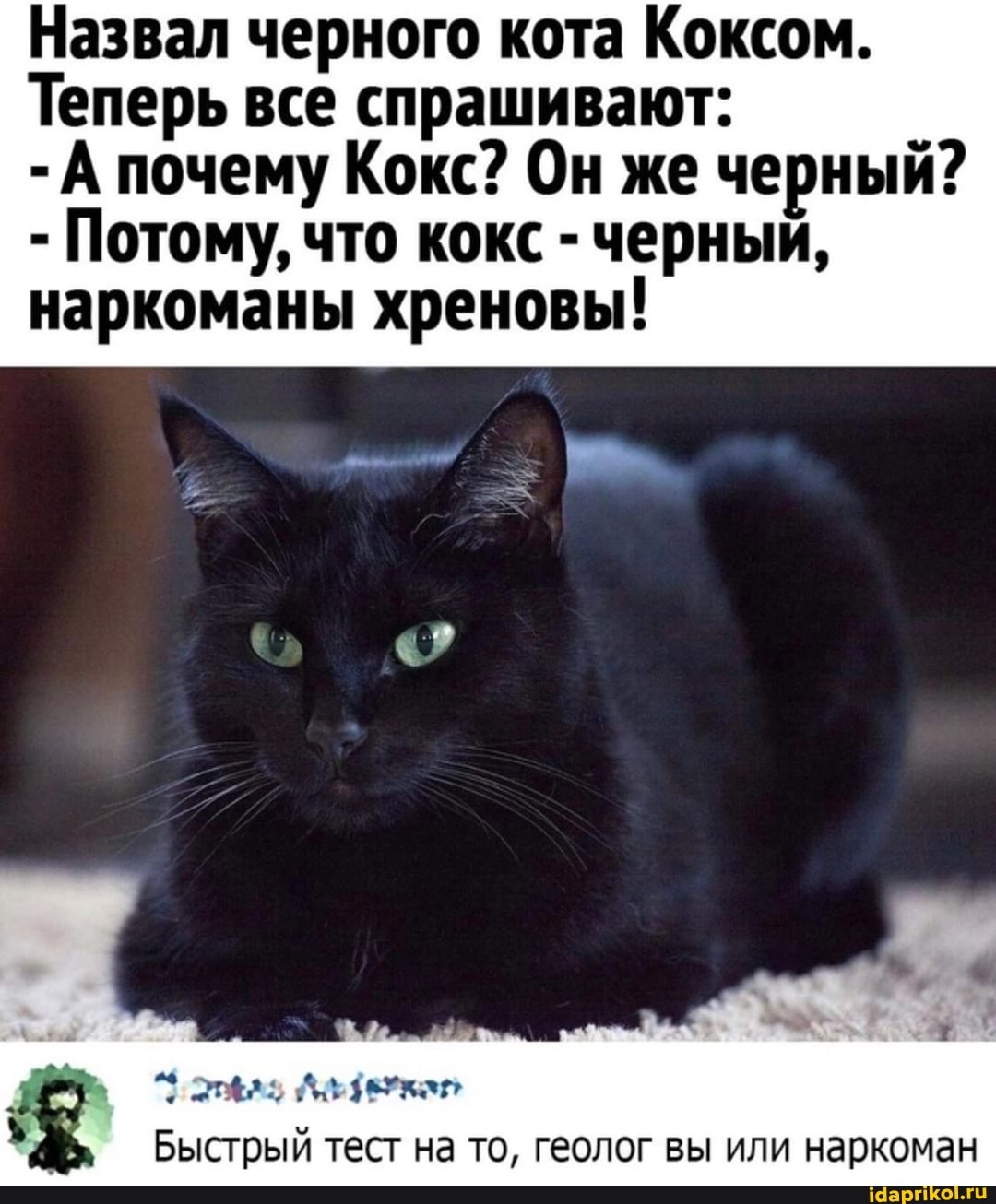 1000039008.jpg