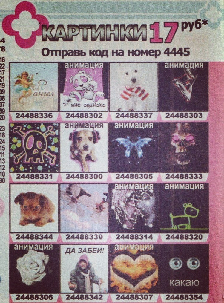 1000039971.jpg
