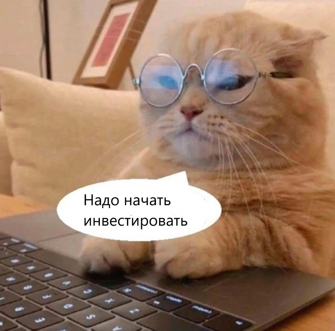 11в.jpg