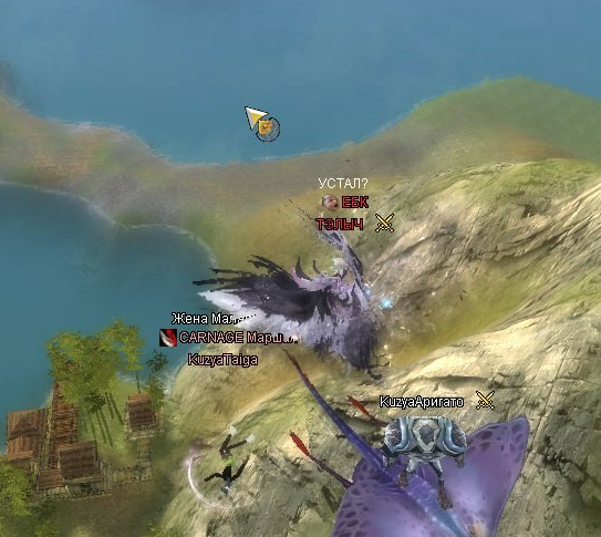 111.png