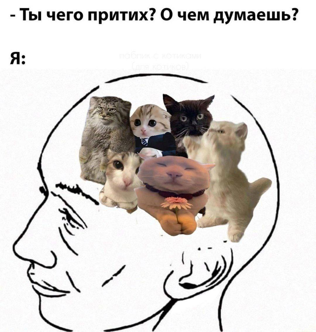 1111.jpg