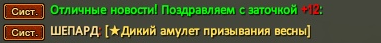 12.png