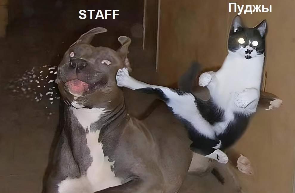 123.jpg