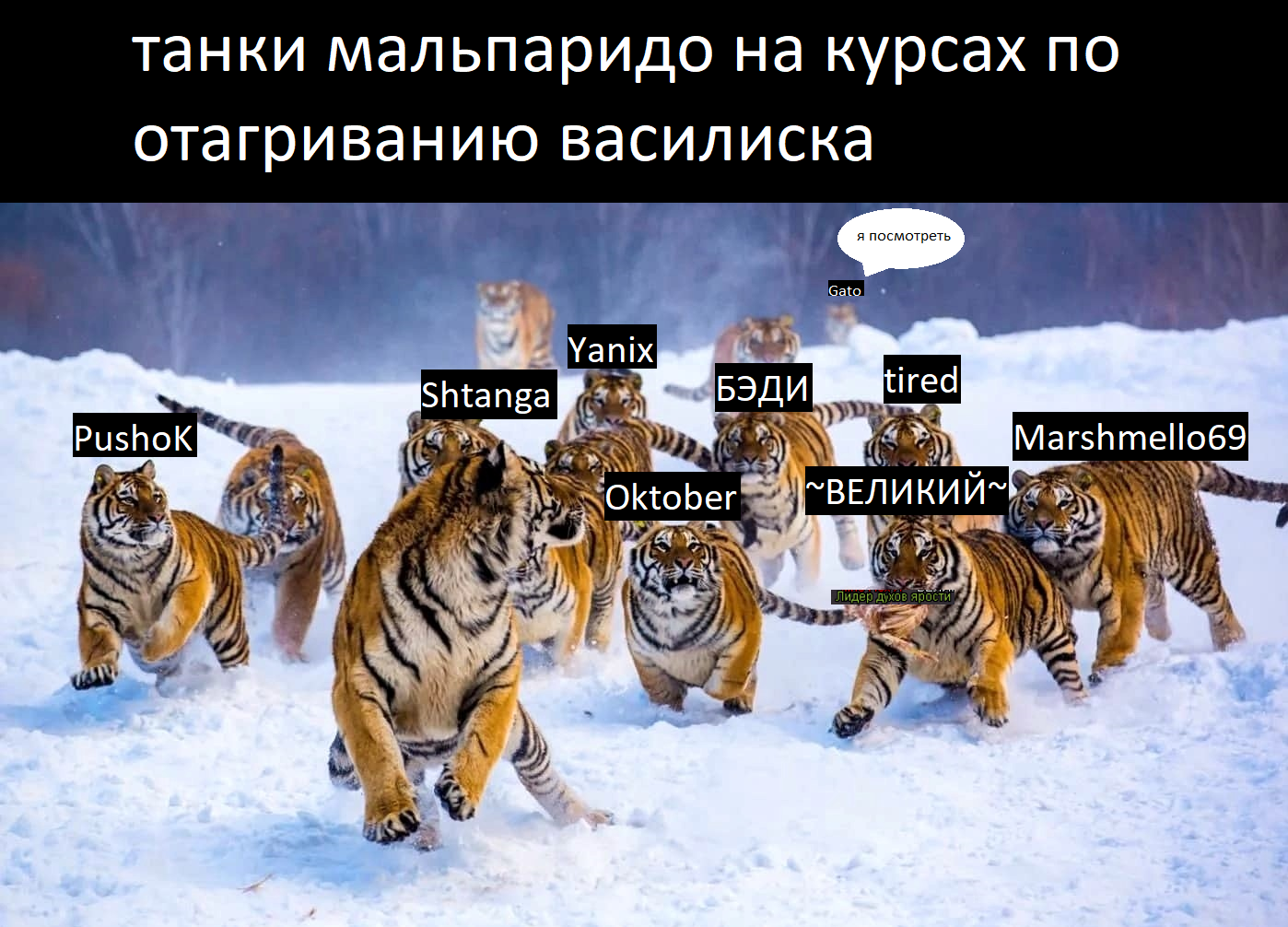 123.png