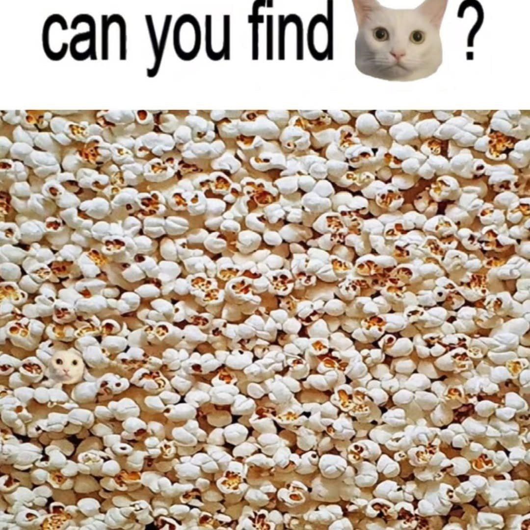 12347A36-5CC6-459E-9434-7993B41A0EC8.jpeg