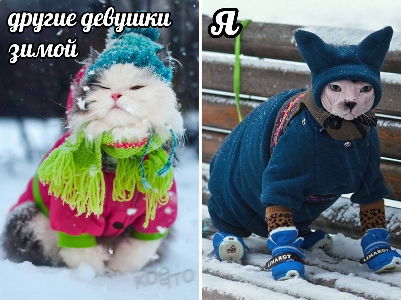 12E03CE3-C1C8-4245-8008-F95F1CC92210.jpeg