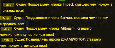 13.png