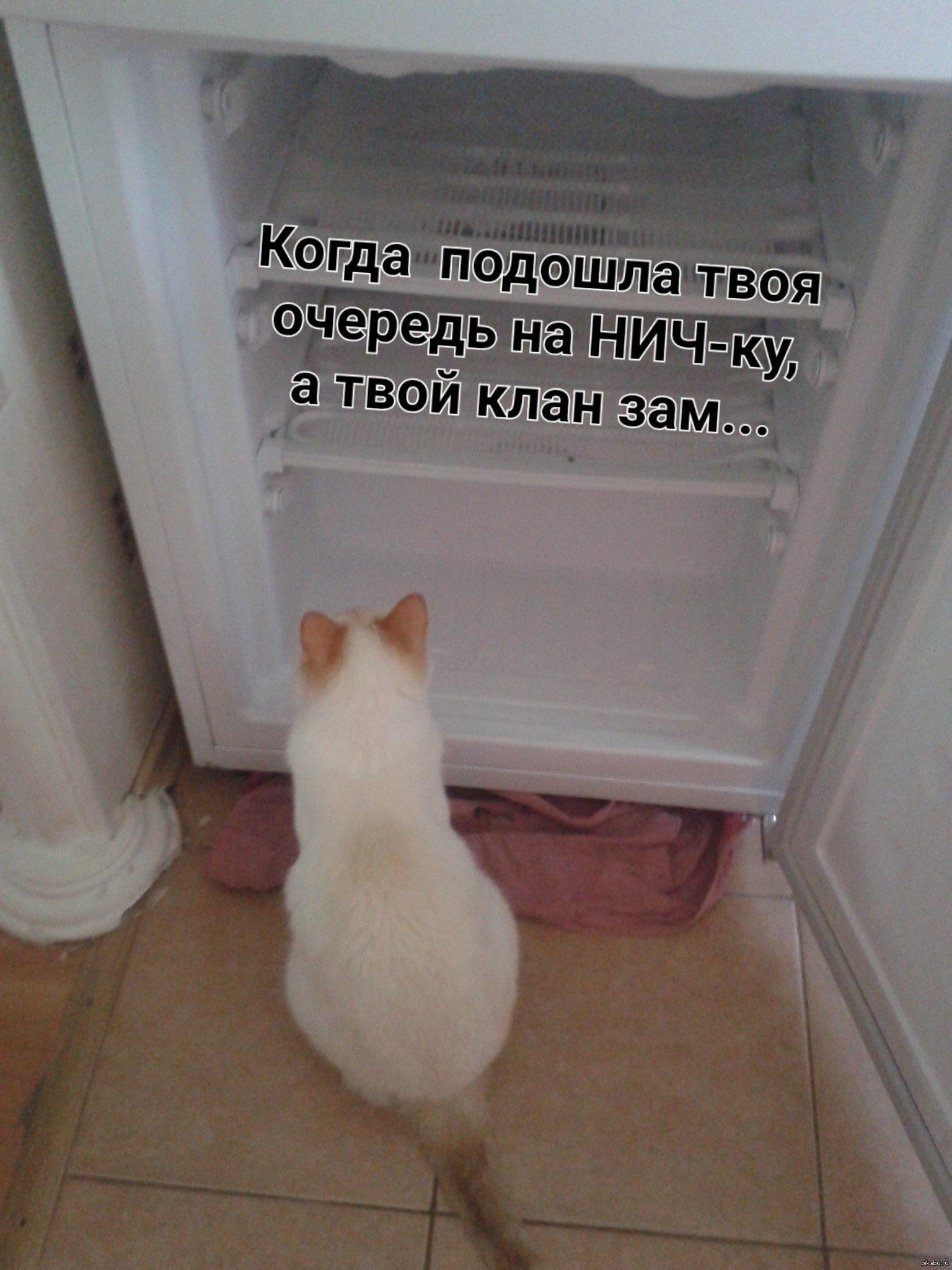 1402470670_1425138078.jpg