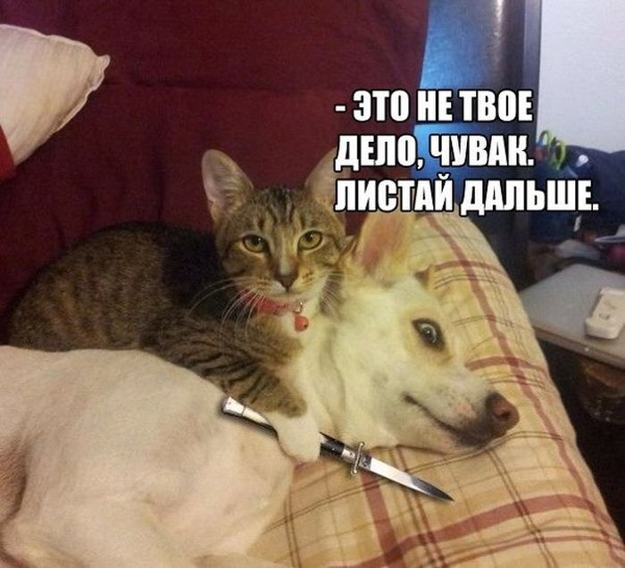 1579084444_2.jpg