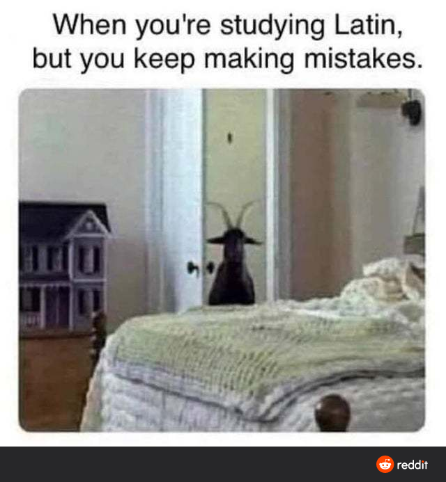 1606421213138765214.png