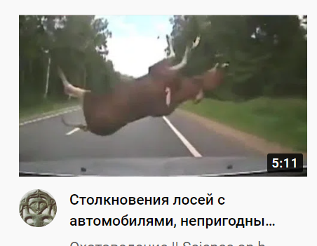 1608446444227.png