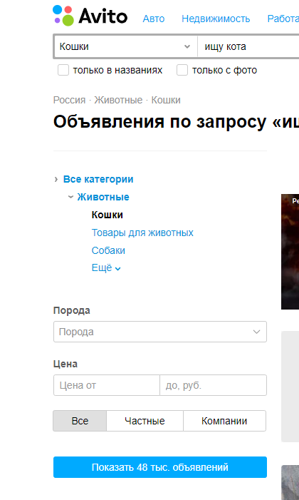 1611748087855.png