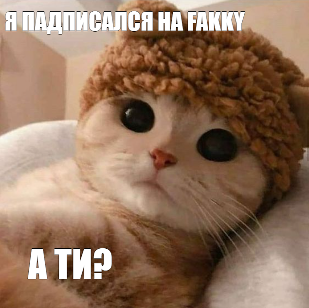 1614263560167.png