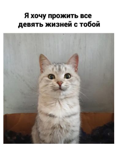 1614769058303.png