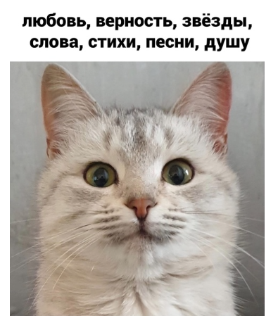 1614769099354.png