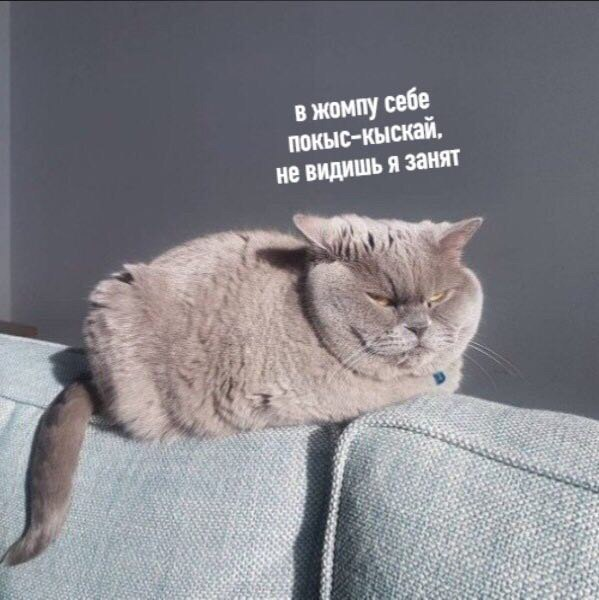1614926031599.png