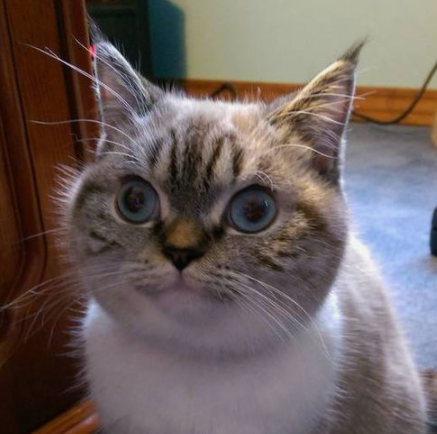 1615105348387.png