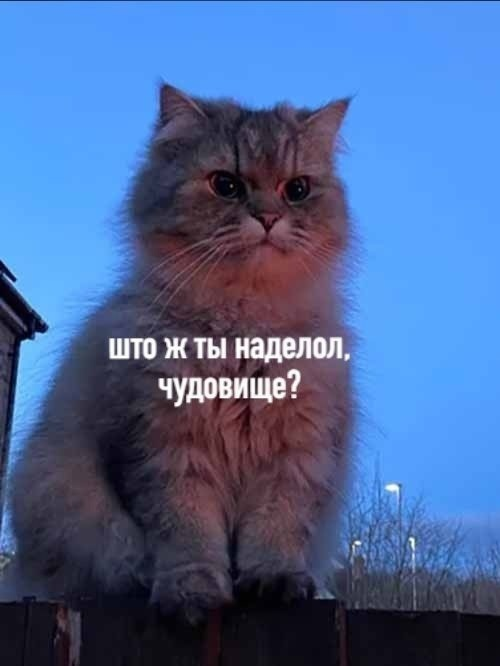 1615273673734.png