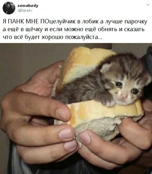 1615442440382.png