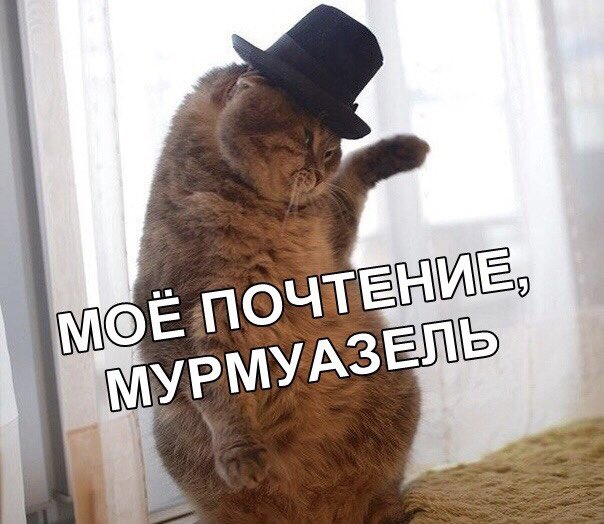 1615535974255.png
