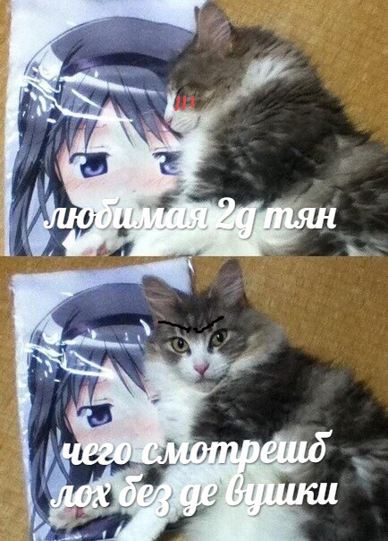 1615544442630.png