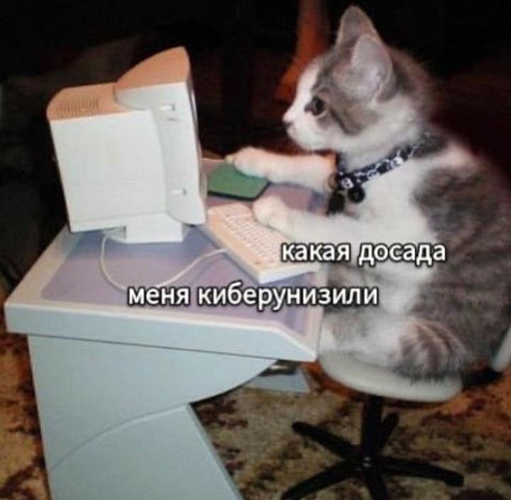 1615741861731.png