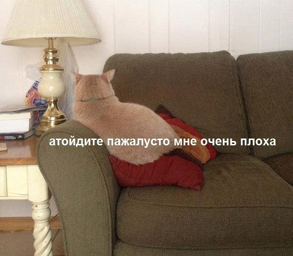 1615758718167.png