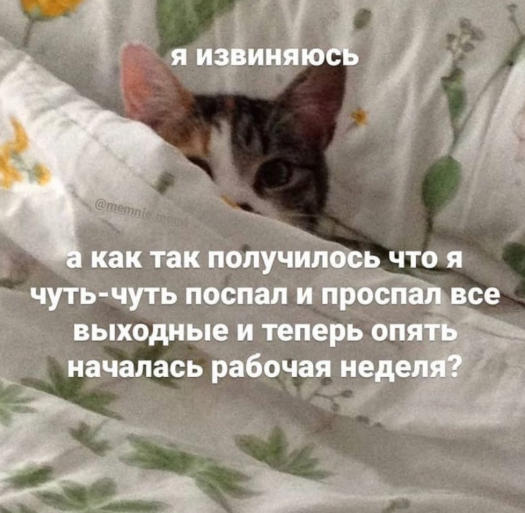 1616394767744.png