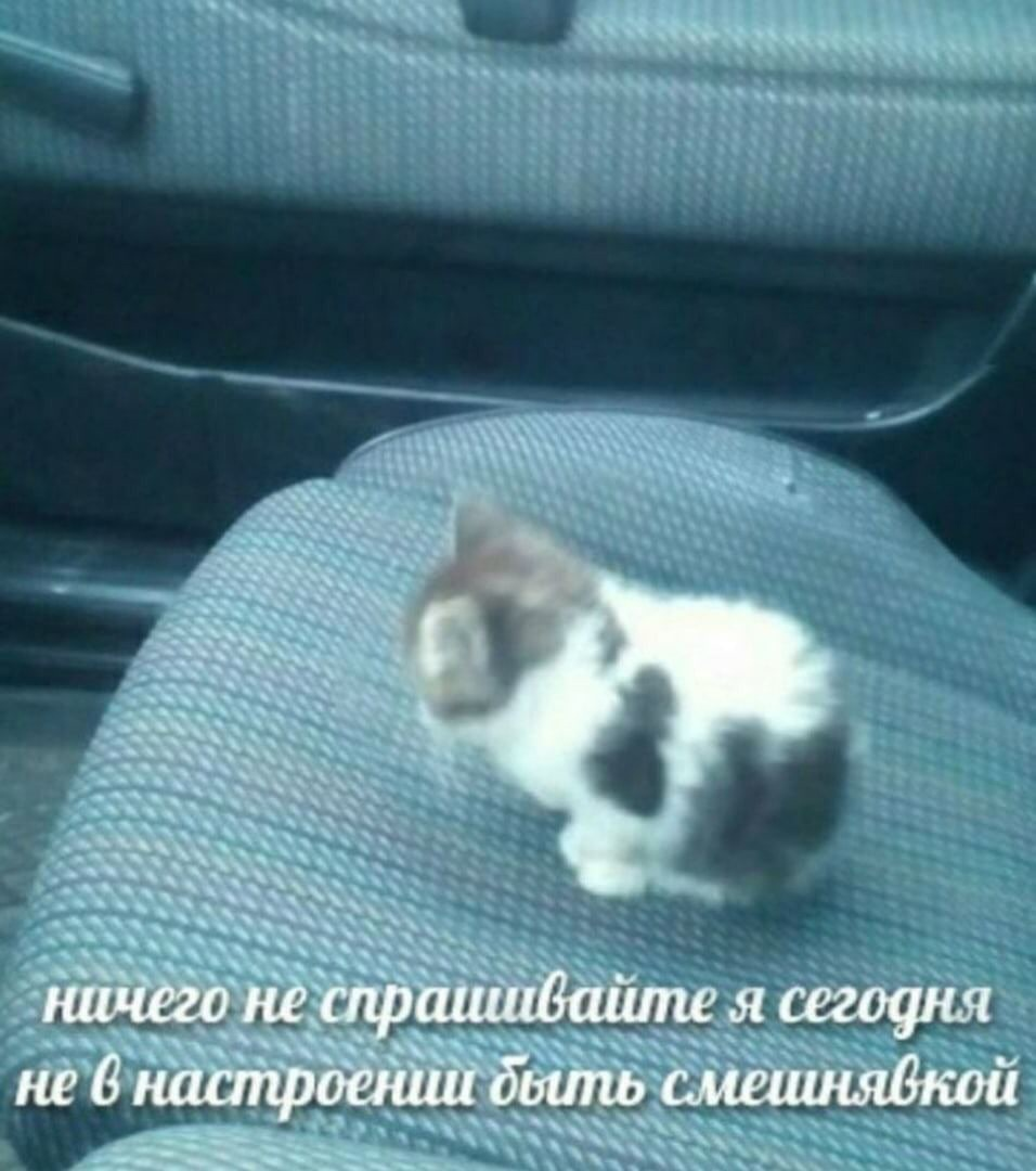 1616398076666.png