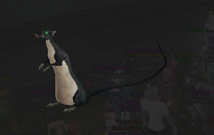 1616410104667.png 1616410104667.png