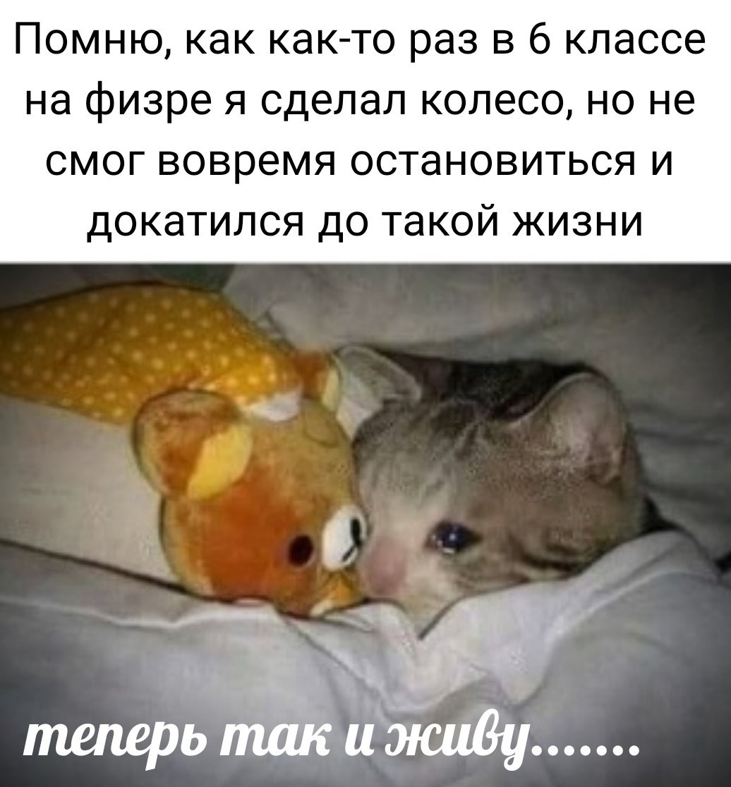 1616416369310.png