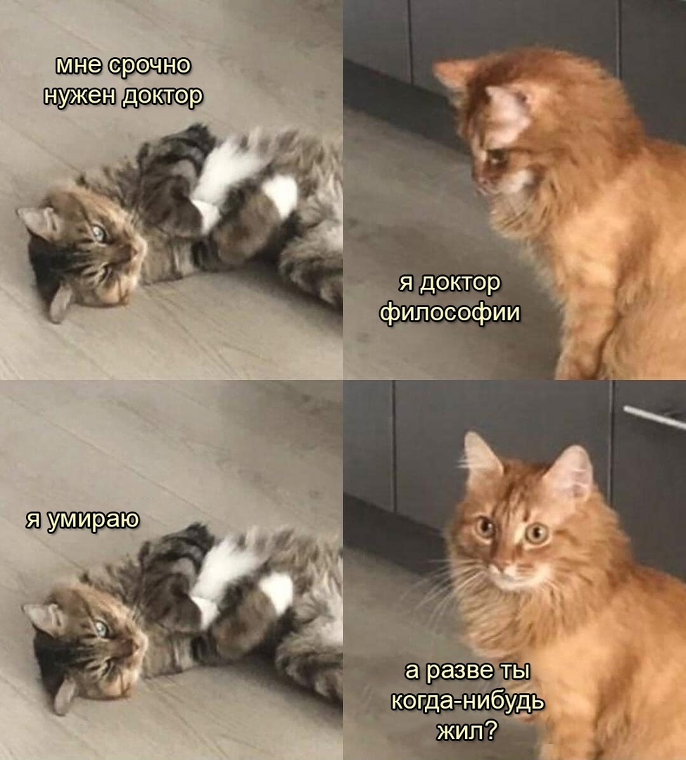 1617195953546.png