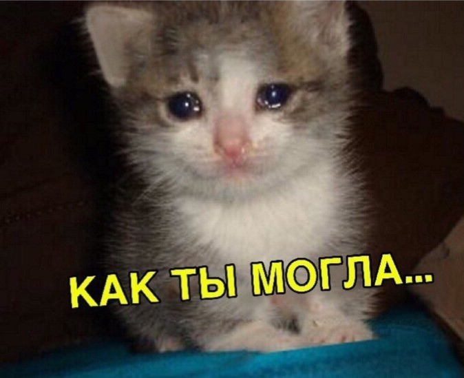 1617258332677.png