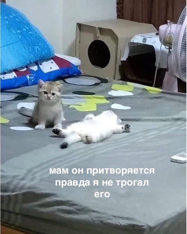1617258669081.png