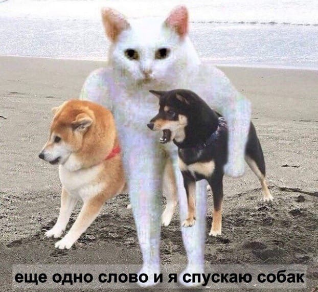 1617264520360.png