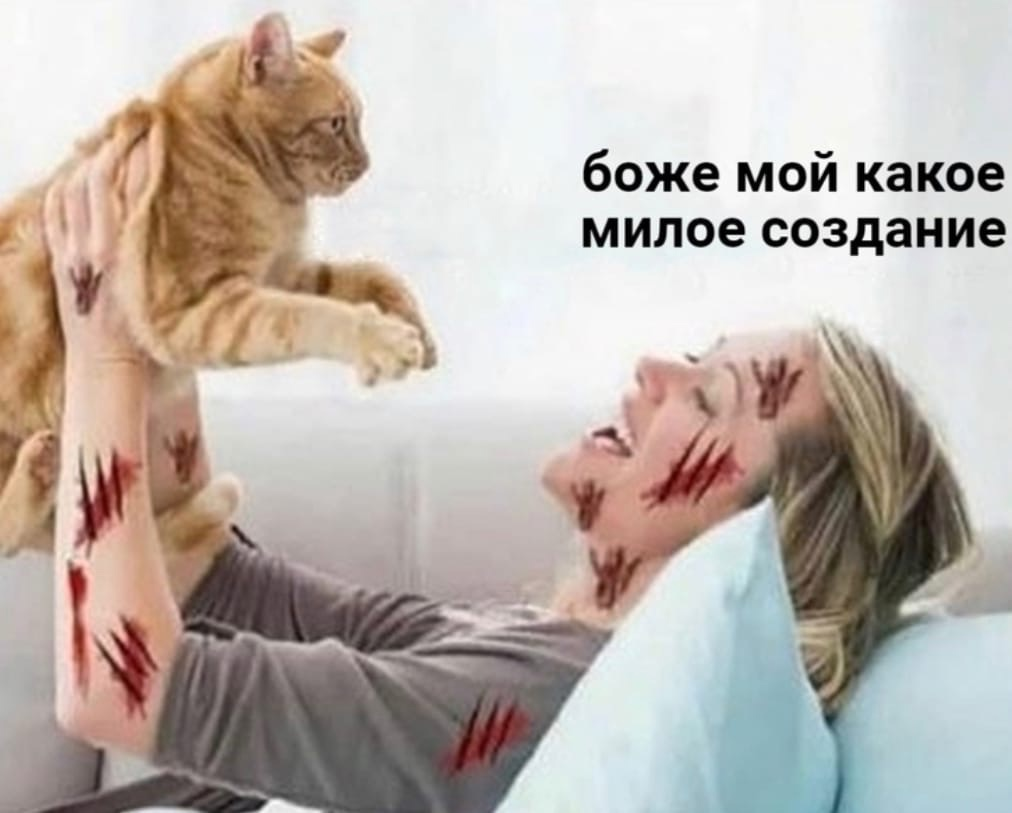 1617345147629.png